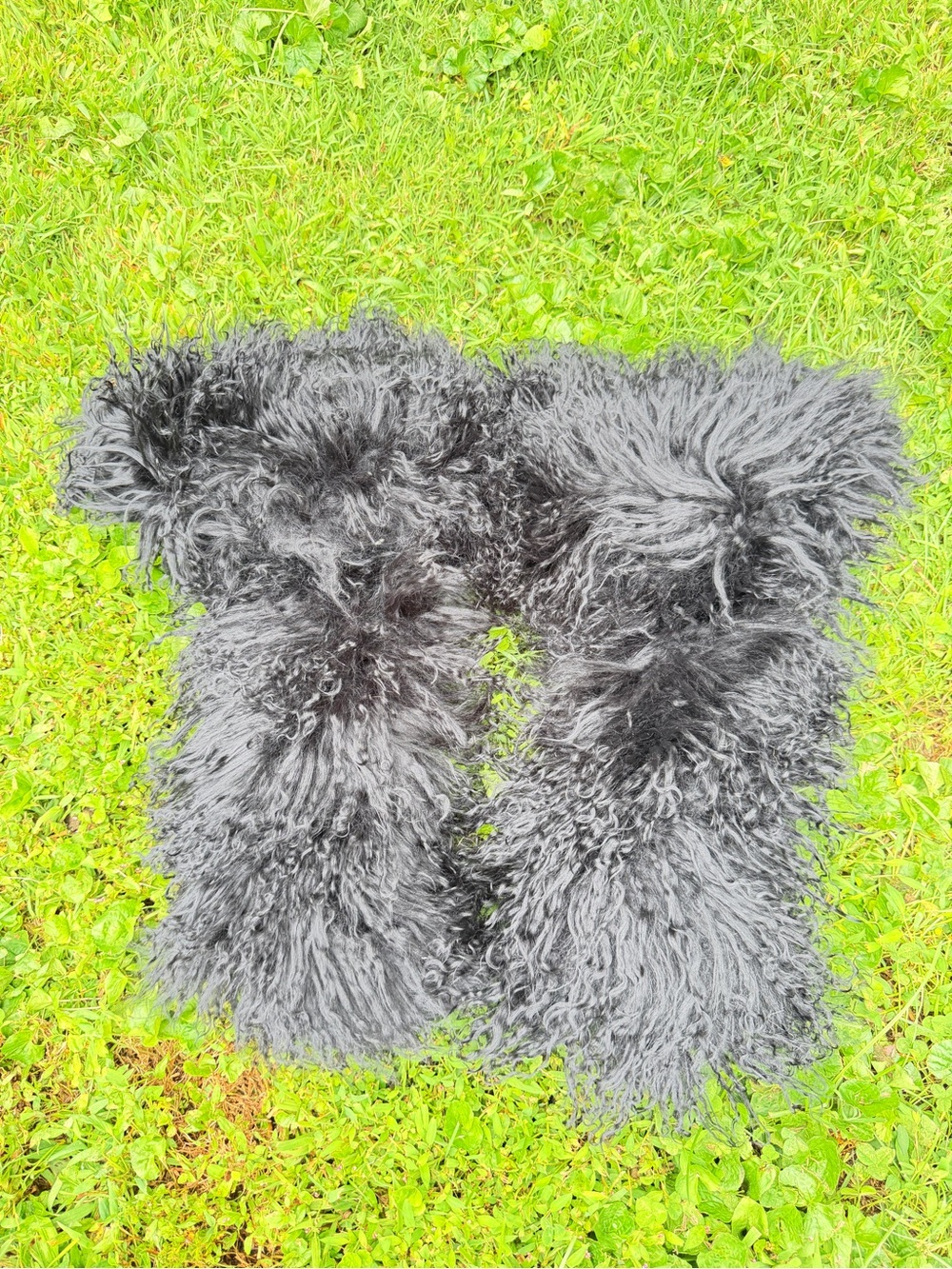 UGG Black Mongolian Faux Fur Accent Pillow Pair